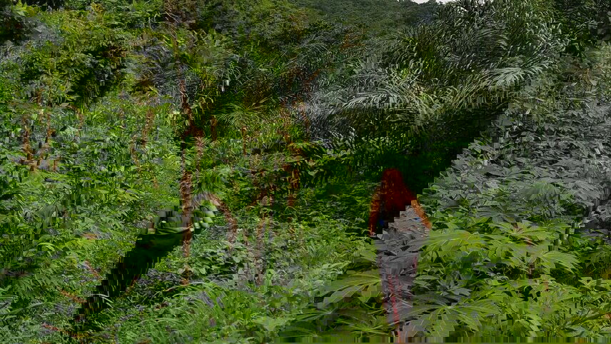 Benin, Togo & Ghana Adventure