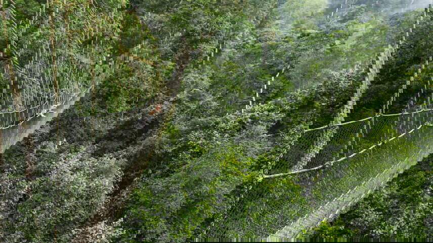 Benin, Togo & Ghana Adventure