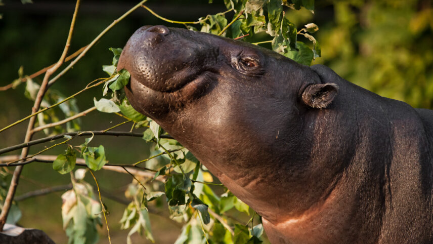 Sierra Leone Adventure: History, Culture & Nature