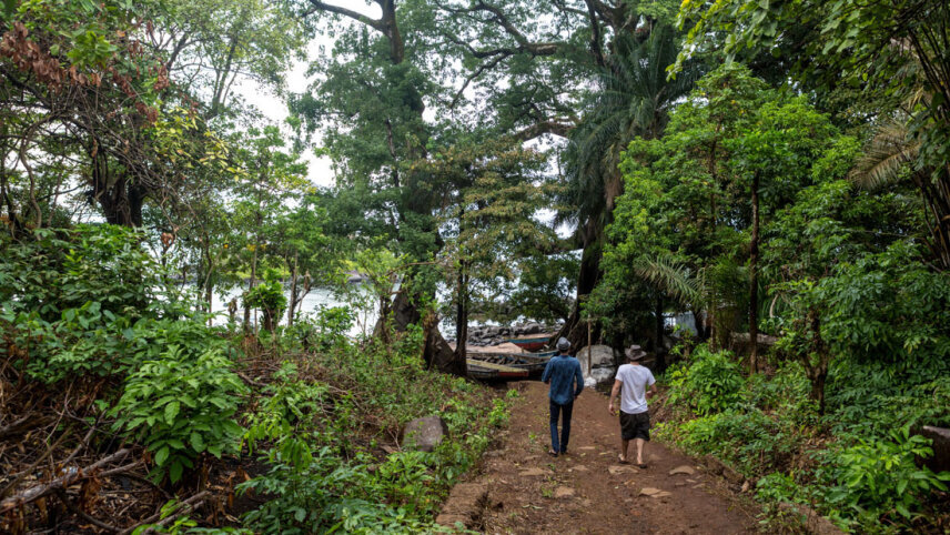 Sierra Leone Adventure: History, Culture & Nature