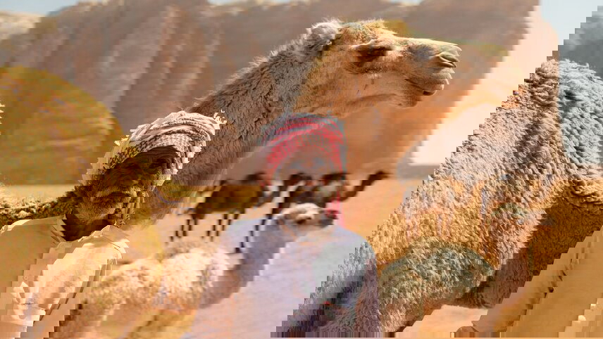 Explore Jordan, Israel & the Palestinian Territories