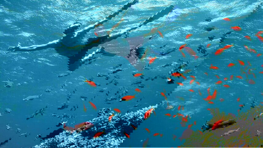 Jordan: Hike, Bike & Snorkel