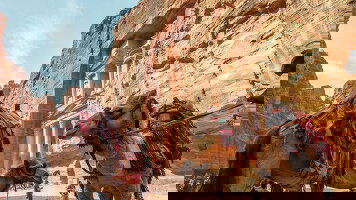 8 Day Jordan Family Holiday (Intrepid)