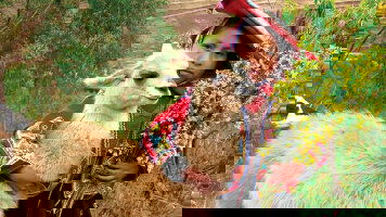 35 Day Peru, Bolivia & Argentina Adventure (Intrepid)