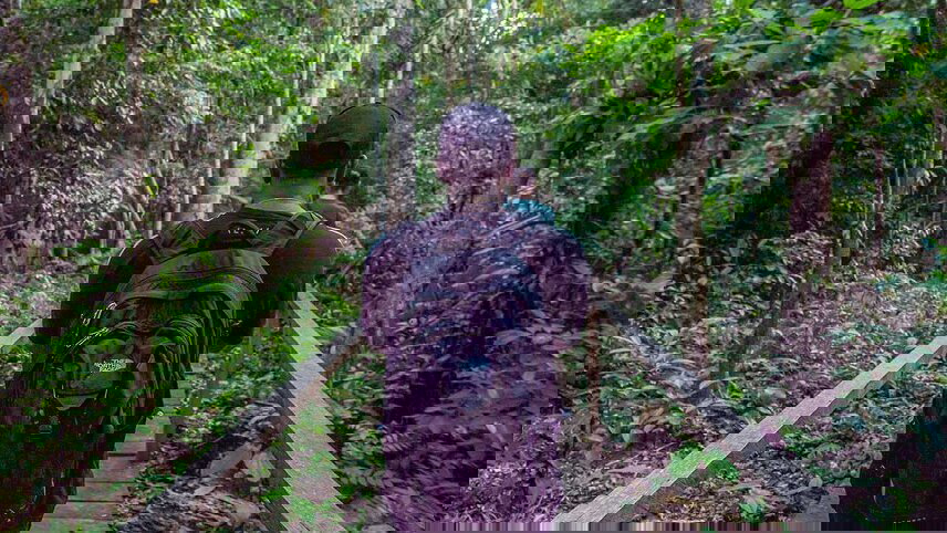 Ecuador: Amazon Jungle Sacha Lodge Short Break