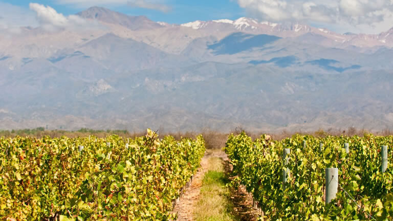 Premium Chile & Argentina