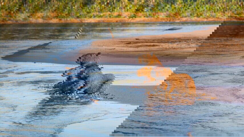 Inca Trail & Amazon Adventure