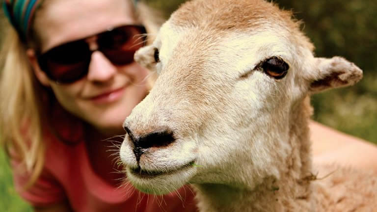 Explore Peru, Argentina & Brazil