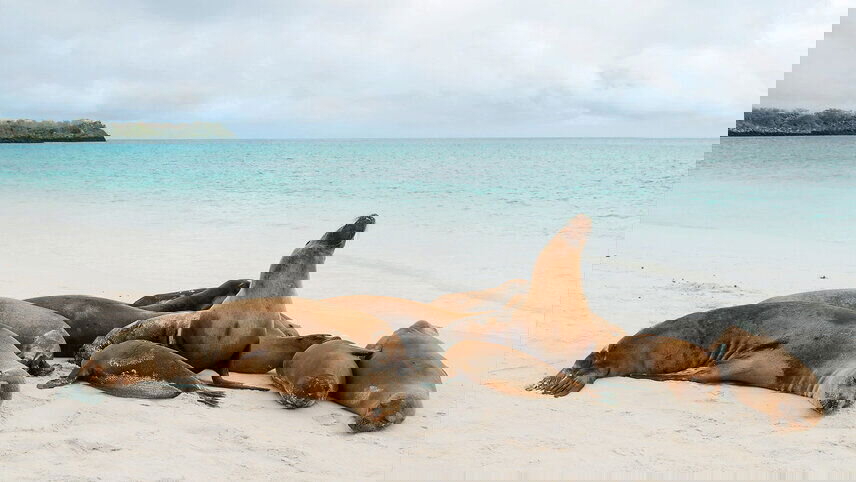 Galapagos & Peru Adventure