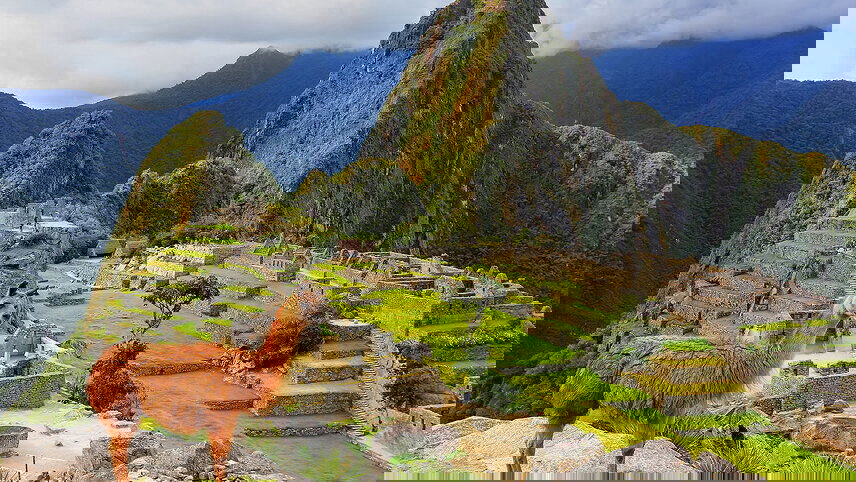 Galapagos & Peru Adventure