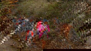 4 Day Peru: Trek the Inca Trail (Intrepid)