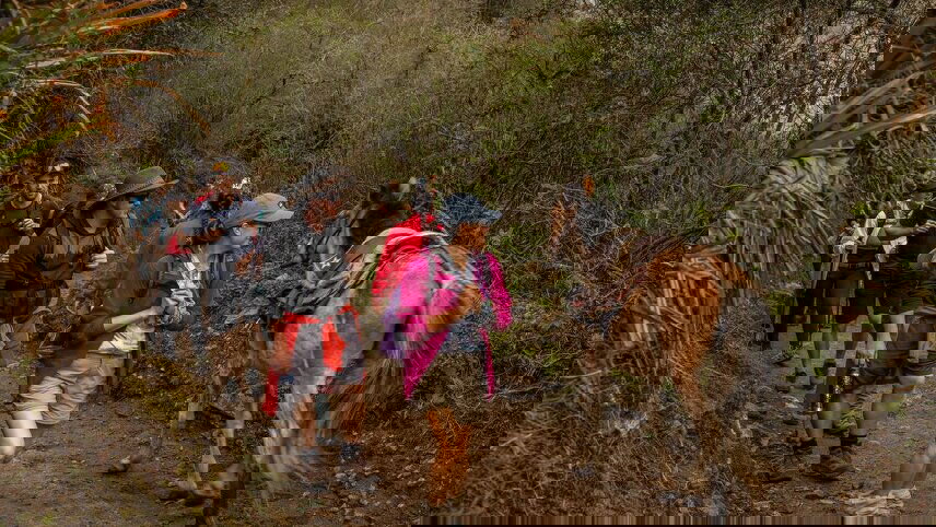 Peru: Trek the Inca Trail