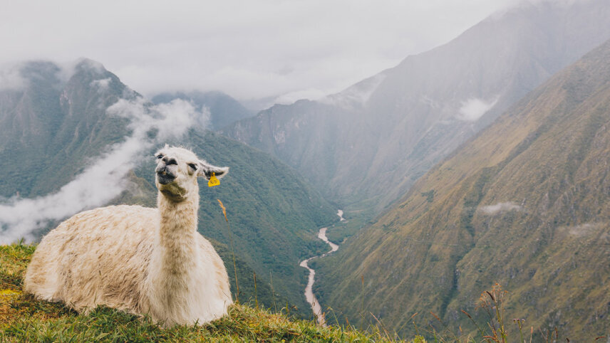 Premium Walking & Hiking in Peru