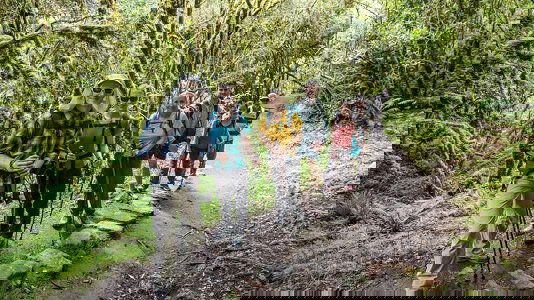 Intrepid Walking & Trekking