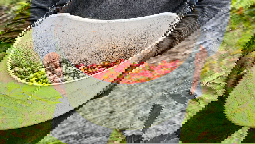 Colombia Adventure & Lost City Trek