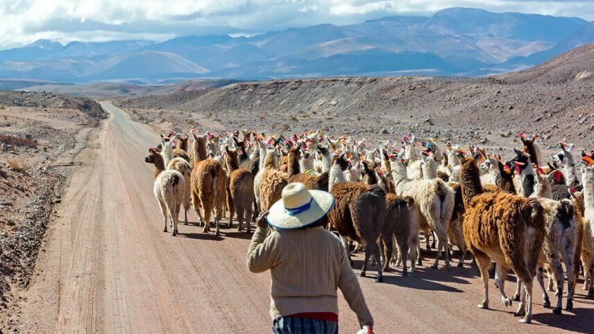 Real Bolivia & Argentina