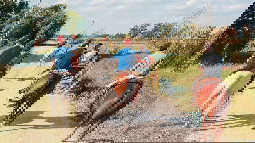 Real Argentina to Brazil