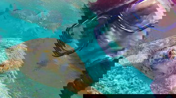 8 Day Galapagos Family Holiday (Intrepid)