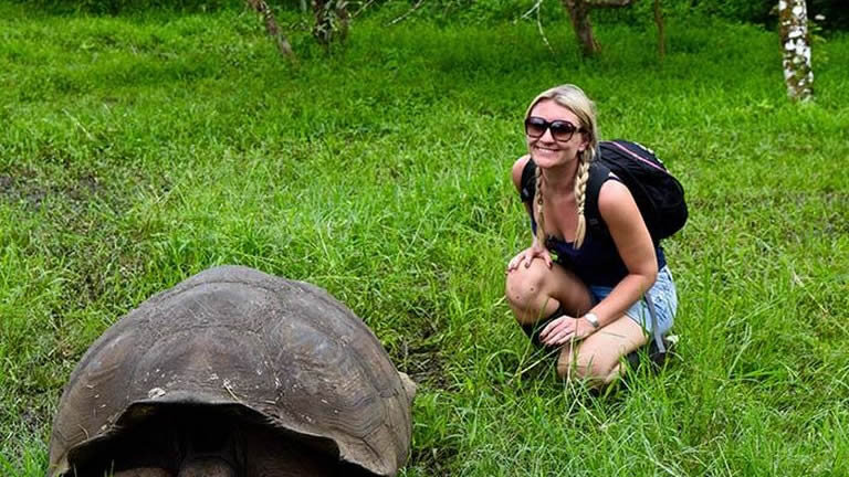 Complete Galapagos (Grand Daphne)