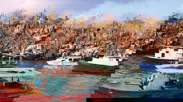 10 Day Ultimate Galapagos: Central Islands (Grand Daphne) (Intrepid)