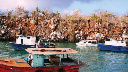 10 Day Ultimate Galapagos: Central Islands (Grand Daphne) (Intrepid)