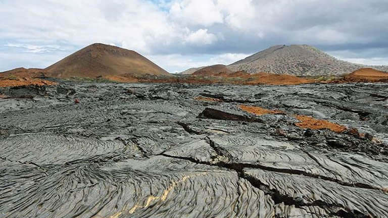 Pure Galapagos (Grand Daphne)