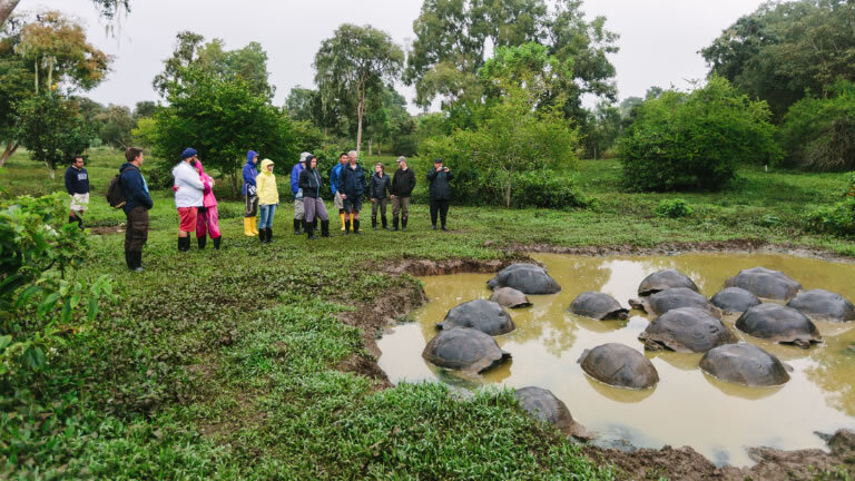 Classic Galapagos: Central Southern Islands (Grand Queen Beatriz)