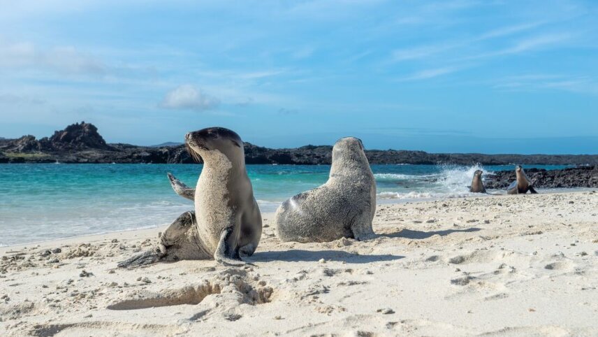 Mainland Ecuador and Galapagos Cruise