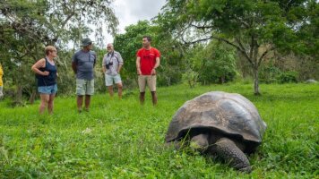 14 Day Mainland Ecuador and Galapagos Cruise (Intrepid)