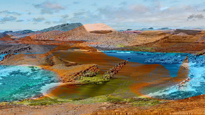 Galapagos In Focus (Grand Queen Bea)