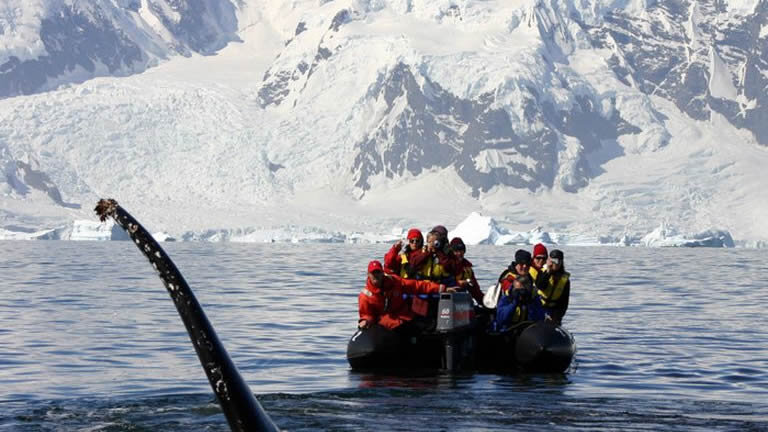 Journey to the Antarctic Circle
