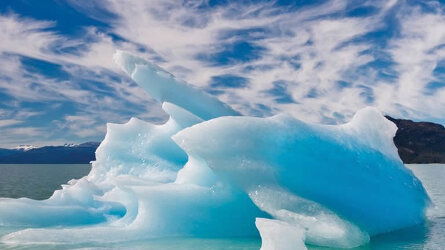 11 Day Best of Antarctica: Wildlife Explorer (Ocean Endeavour) (Intrepid)