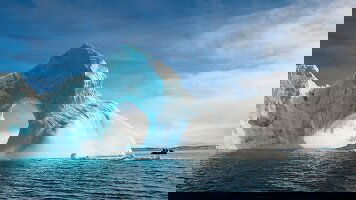 13 Day Best of Antarctica In Depth (Intrepid)