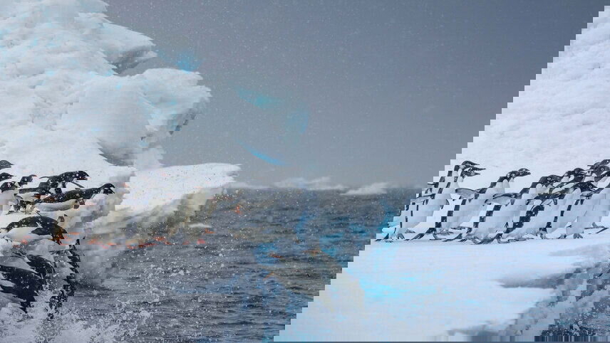 Crossing the Circle: Southern Expedition (Ocean Explorer)