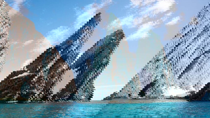 Best of Antarctica: Whale Discovery