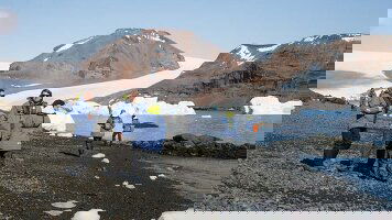 12 Day Best of Antarctica: Whale Discovery (Intrepid)