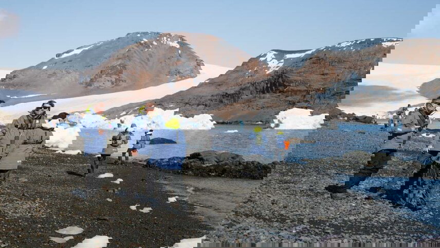 Best of Antarctica: Whale Discovery