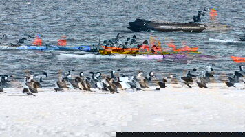 12 Day Antarctic Peninsula: The Classic Voyage (Ocean Victory) (Intrepid)