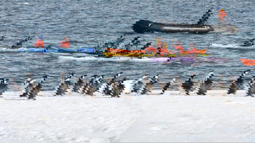 Antarctic Peninsula: The Classic Voyage (Ocean Victory)