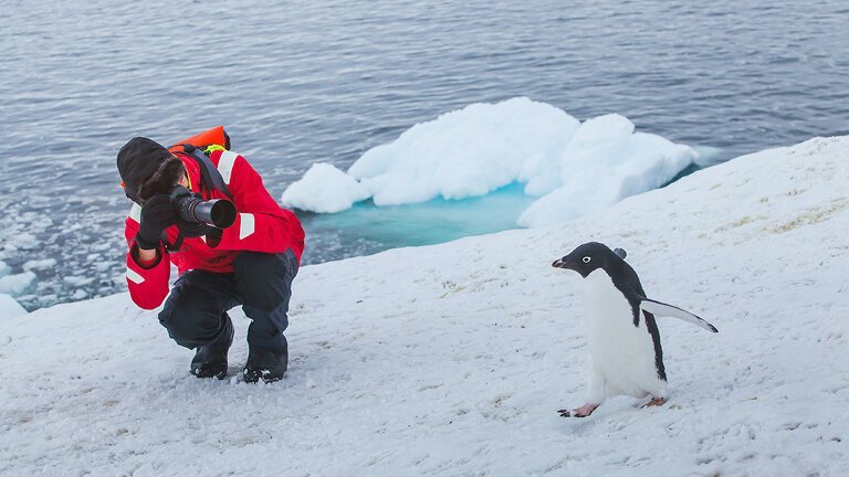 Best of Antarctica: Pristine Wilderness (Ocean Endeavour)