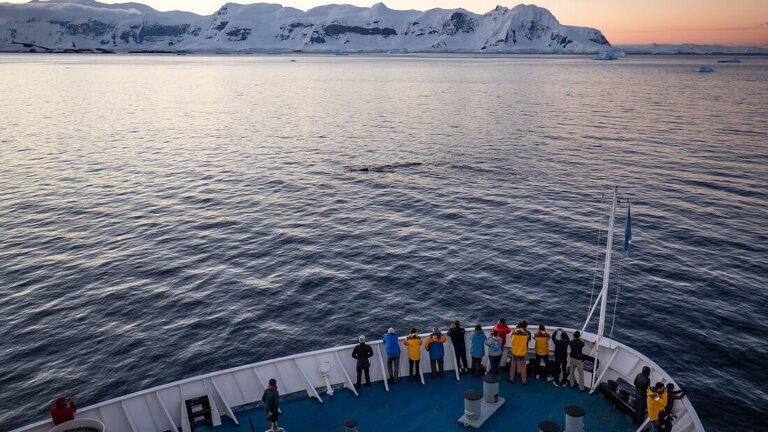 Best of Antarctica: Pristine Wilderness (Ocean Endeavour)