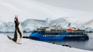 10 Day Antarctica Springs to Life (Ocean Victory) (Intrepid)