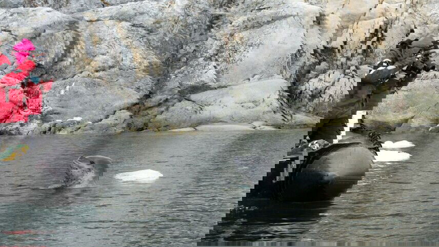 Antarctica Springs to Life (Ocean Victory)