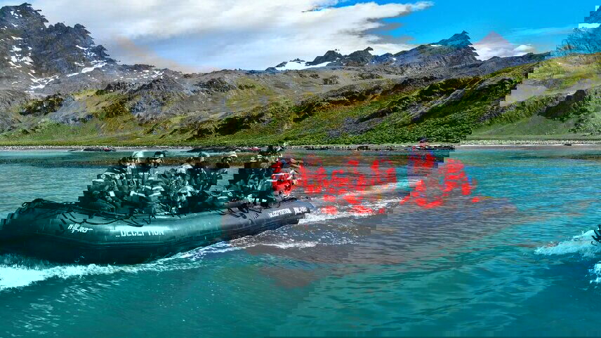 Ultimate Antarctica: Falklands, South Georgia & the Antarctic Circle (Ocean Endeavour)