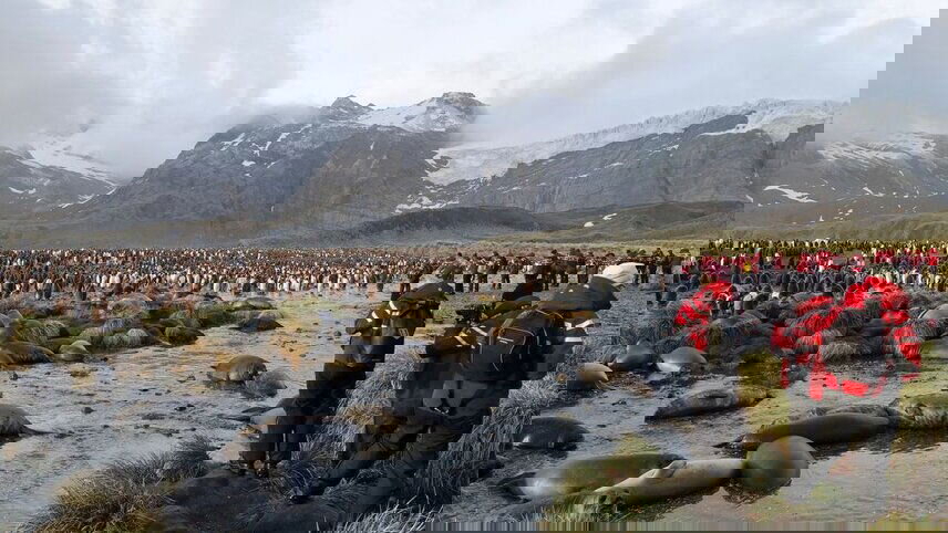 Falkland Islands, South Georgia & Antarctica (Ocean Victory)