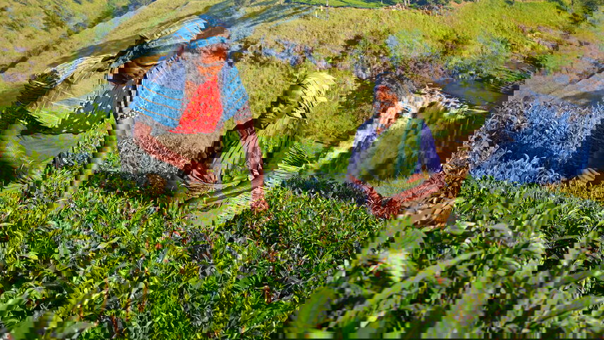 Sri Lanka Family Holiday