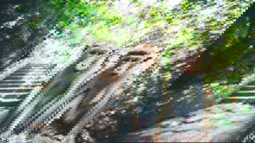 Sri Lanka Family Holiday