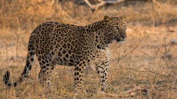8 Day India Golden Triangle Family Holiday Comfort (Intrepid)