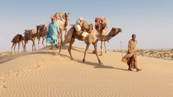 15 Day Rajasthan Experience (Intrepid)