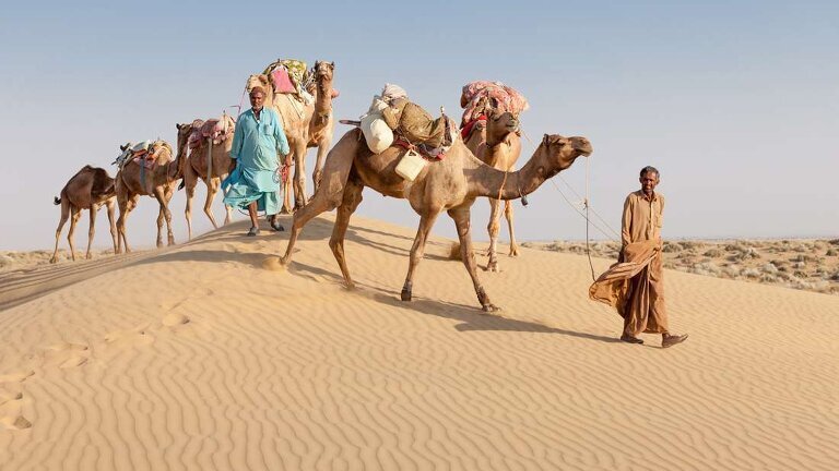 Rajasthan Experience